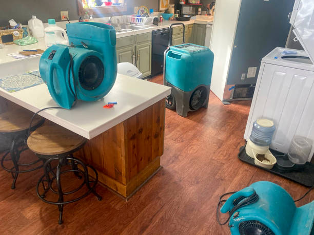 Best Flood damage cleanup  in Flordell Hills, MO