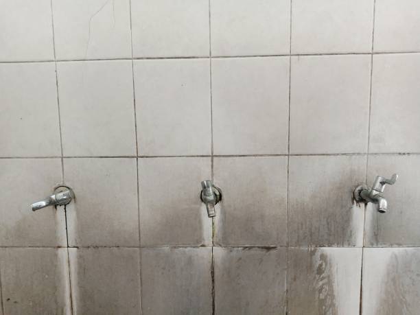 Best Sewage cleanup and water damage restoration  in Flordell Hills, MO