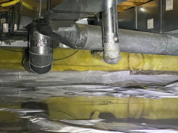 Best Mold removal after water damage  in Flordell Hills, MO