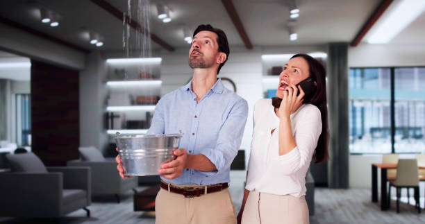 Best Flood damage cleanup  in Flordell Hills, MO